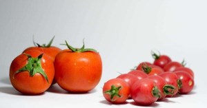 蔬果减肥帮您月瘦20斤